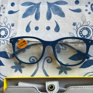 Owly Blue reading 2.5 Eyeglasses with Case